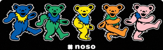 Deadhead Noso GIF by nosopatches