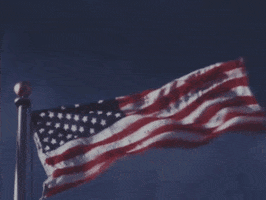 United States Usa GIF by US National Archives