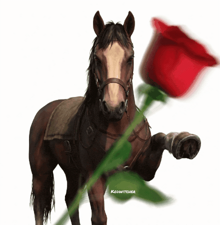 The Witcher Flower GIF