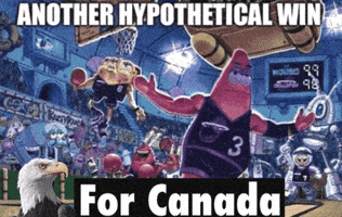 Team Usa Canada GIF