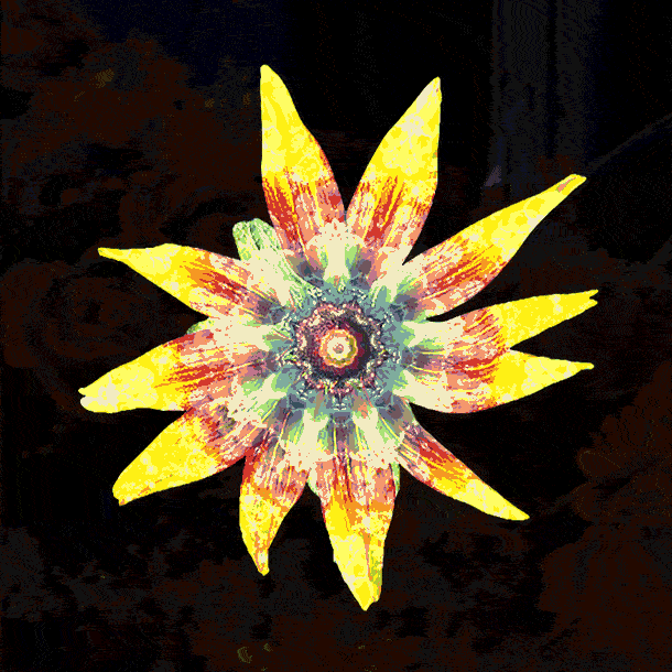 Flower GIF by Apply Find & Share on GIPHY