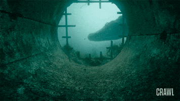 search coming GIF by The Crawl Movie