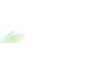 Paris Aparecida97Anos Sticker by Prefeitura de Aparecida