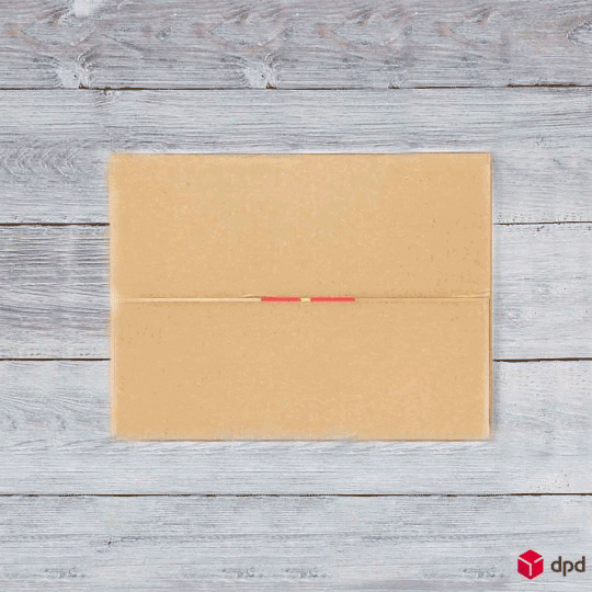 DPD Deutschland GmbH GIF