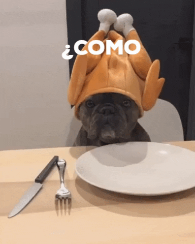 Altudog GIF