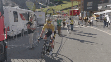 Tour De France Cheer GIF by Team Jumbo-Visma