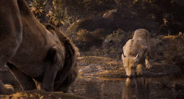 the lion king nala GIF by Walt Disney Studios
