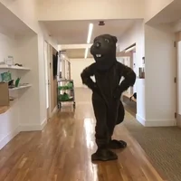 https://media0.giphy.com/media/iFUu6ADBNLdEeRssfo/200w.webp?cid=ecf05e47dh7z1z2xsxi2vfk45p1lo3yadkljzwj7n1fqh97c&rid=200w.webp&ct=g