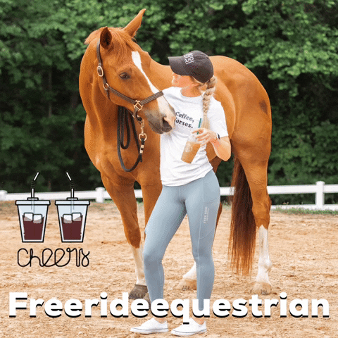 freerideequestrian coffee horse starbucks equestrian GIF