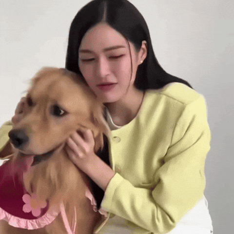 Dog Ling GIF