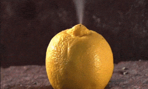 [Image: giphy.gif]