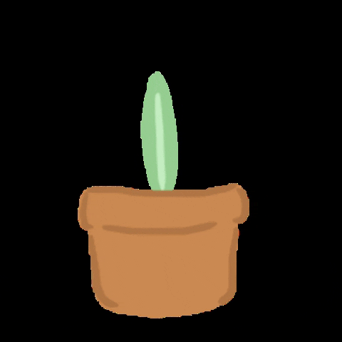 Plants GIF