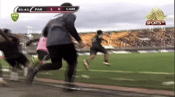 Pakistan Football GIF