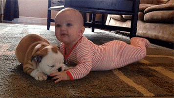 Puppy Love Kiss GIF by HuffPost