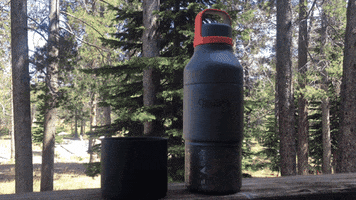 GIF by Hibear Design Co