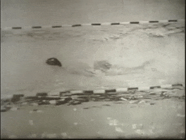 Ohio State Swimming GIF by US National Archives