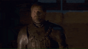vulture game of thrones jaime brienne game of thrones 802 GIF