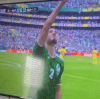 World Cup Soccer GIF