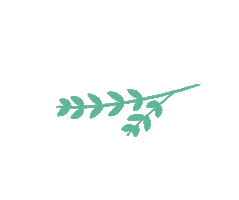 Santulkins Sticker