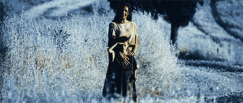 Film Gladiator GIF - Find Share on GIPHY