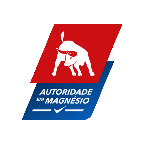 KS Brasileira Sticker