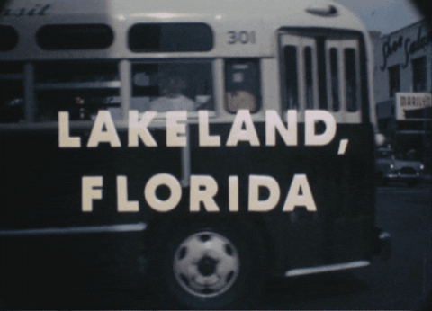 Animated GIF - Find & Share on GIPHY