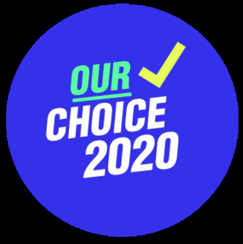 OurChoice2020 GIF