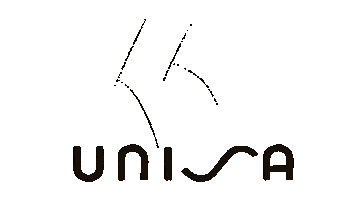 Shoes Heels Sticker by Unisa