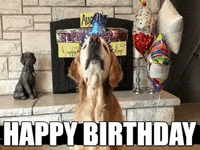 Happy-the-birthday-dog GIFs - Get the best GIF on GIPHY