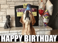 Happy-the-birthday-dog GIFs - Get the best GIF on GIPHY Happy-the-birthday-dog GIFs - Get the best GIF on GIPHY