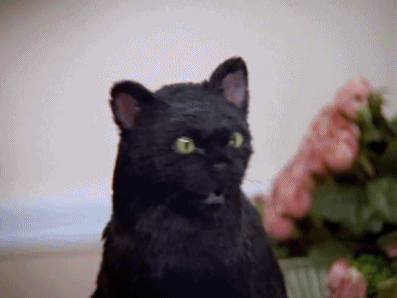 Sabrina The Teenage Witch Slap GIF