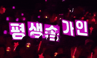 송가인 GIF