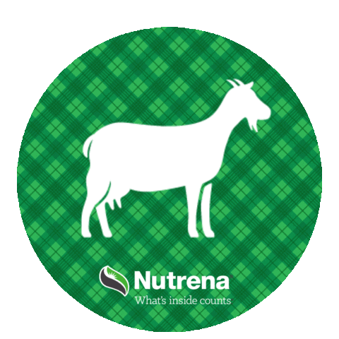 Goat Sticker by Nutrena Feed