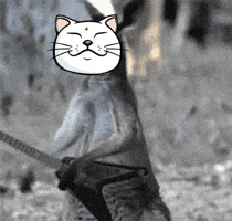 Cat Rock GIF by ShiroNeko