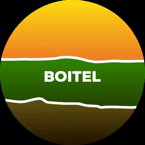 VFL BRASIL GIF