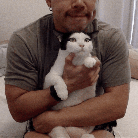 Nun GIF