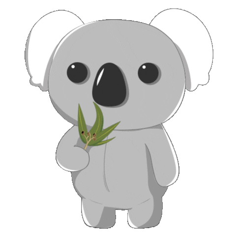 Koala Sticker for iOS & Android | GIPHY