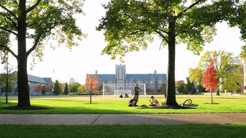 College Life GIF by Washington University in St. Louis