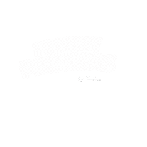 colegiopalmares Sticker