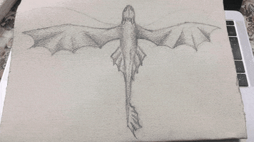 Drawing GIF