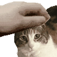 Calico Cat Petting Sticker