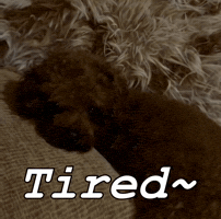 Tired Peanut GIF