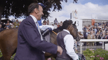 Crowd Crowley GIF by World Horse Racing