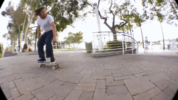 Long Beach Skateboarding GIF by Emerica