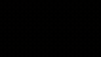 Troy GIF