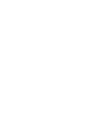 Path Nine Sticker