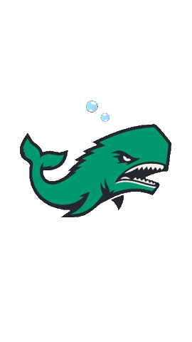 Connecticut Dodgeball Sticker
