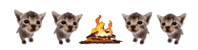Campfire Cat Dance Sticker