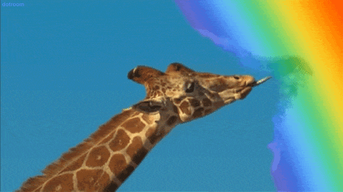  animals rainbow eating advertising licking GIF