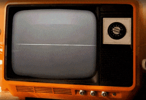 GIF by Smallhold